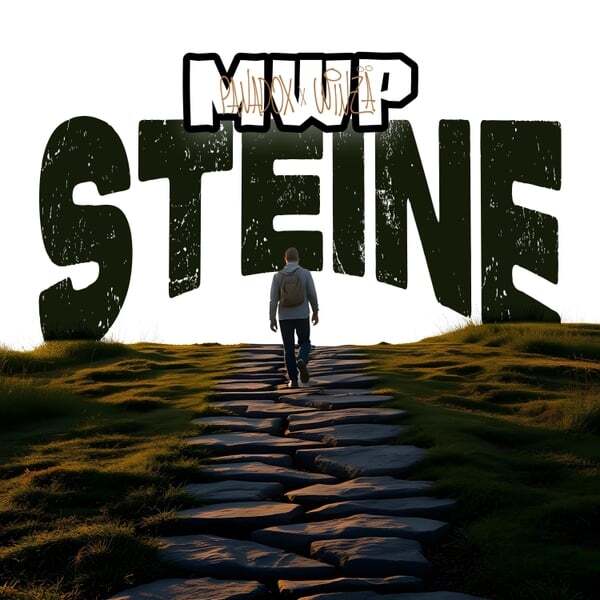 Cover art for Steine